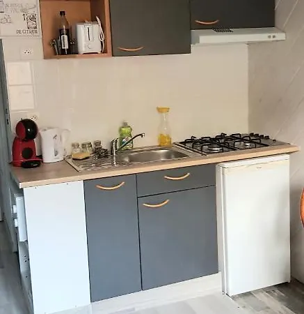 L'hermitage Appartement Saint-Nectaire